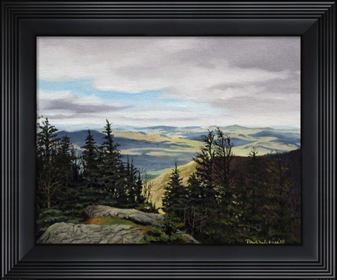 Framed New Hampshire Print