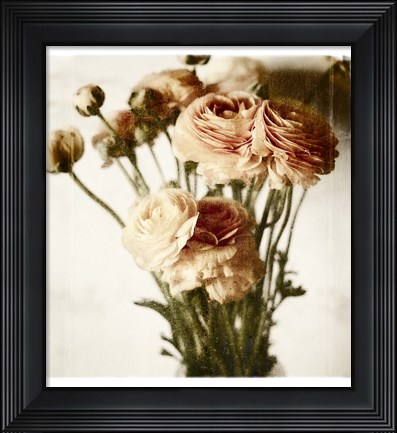 Framed Floral Ranunculus White Soft No Darks Print