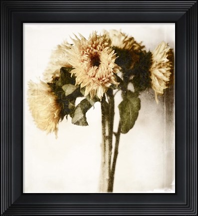 Framed Floral Sunflowers White Soft No Darks Print