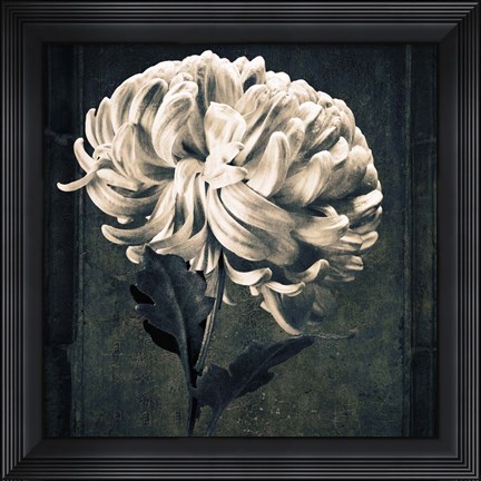 Framed Mum Texture Print