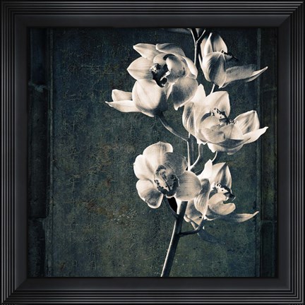 Framed Orchids Stem Texture Print
