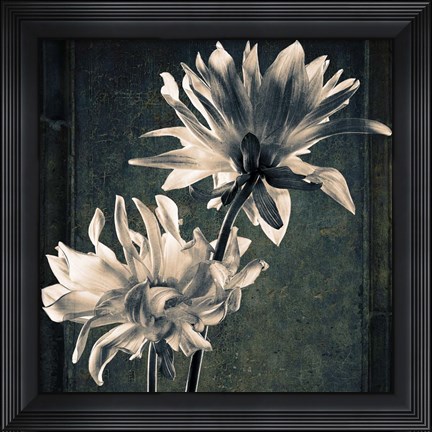 Framed Two Unknowns Texture Print