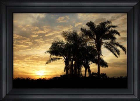 Framed Everglades Sunrise Print