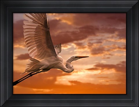 Framed Heron Sunset Print