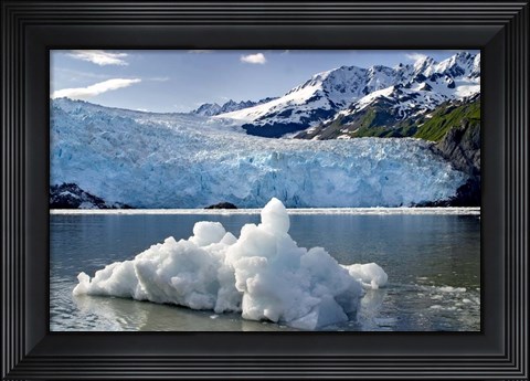 Framed Iceburg Print