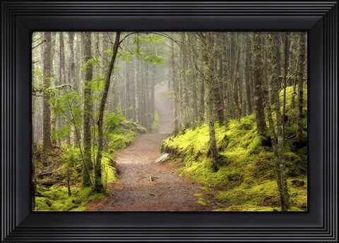 Framed Lubec Path Print