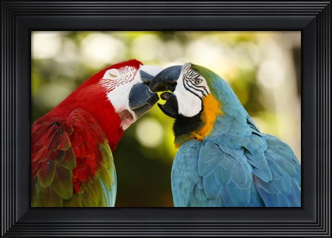 Framed Kiss Print