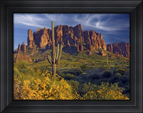 Framed Lost Dutchman flowers Print