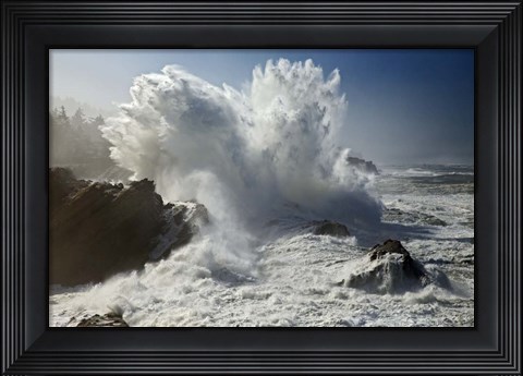 Framed Oregon Shore Acres SP Wave Print