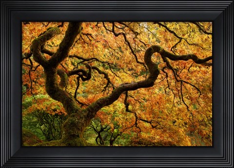 Framed Portland Japanese Garden Print