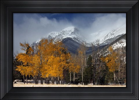 Framed RMNP Aspens and Storm Clouds Print