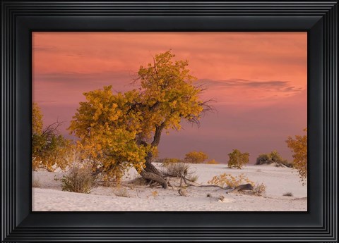 Framed White Sands Yellow Tree Print