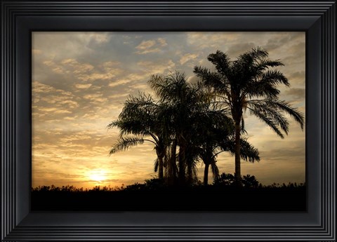 Framed Sunrise Experinemt Print