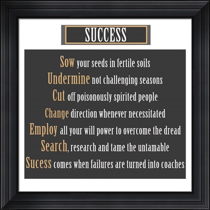 Framed Success Print