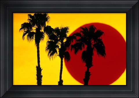Framed 1990S 3 Silhouetted Palm Trees Print