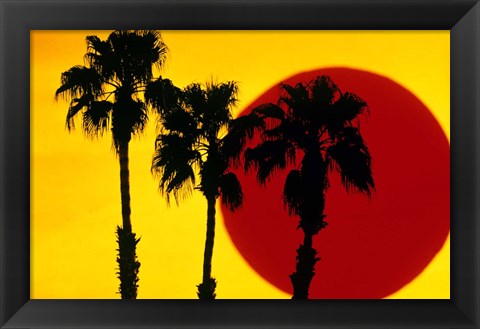 Framed 1990S 3 Silhouetted Palm Trees Print