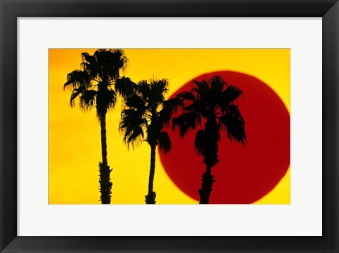 Framed 1990S 3 Silhouetted Palm Trees Print