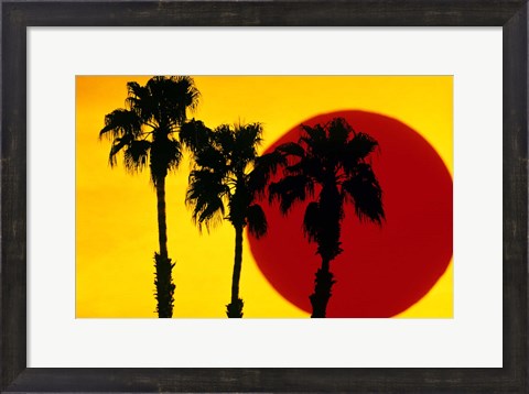 Framed 1990S 3 Silhouetted Palm Trees Print