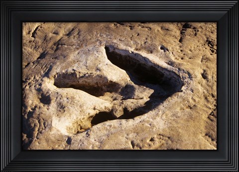 Framed 1990S Dinosaur Track Glen Rose Tx Print