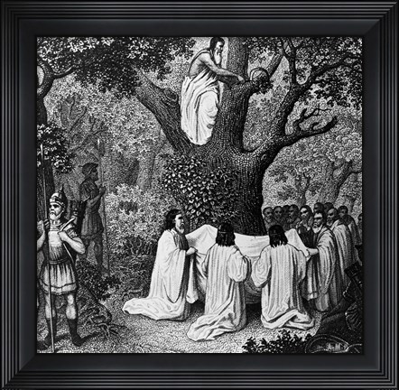 Framed Illustration Of Druid Priests Print
