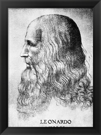 Framed Self Portrait Of Leonardo Da Vinci Circa 1512 Print