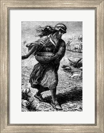 Framed Drawing Of Ancient Middle Eastern Farmer Print