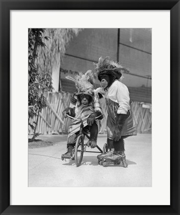 Framed 1930s Two Chimpanzees Monkeys Print