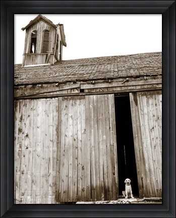 Framed Barnyard Dog Print