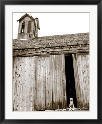 Framed Barnyard Dog Print