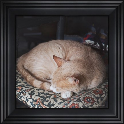 Framed Sleepy Afternoon Print