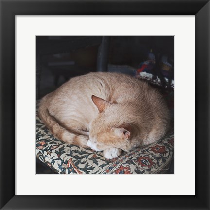 Framed Sleepy Afternoon Print