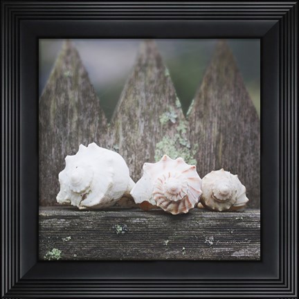 Framed Beach Treasures Print