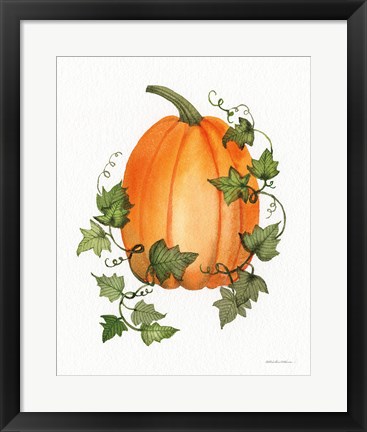 Framed Pumpkin and Vines IV Print