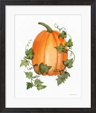 Framed Pumpkin and Vines IV Print