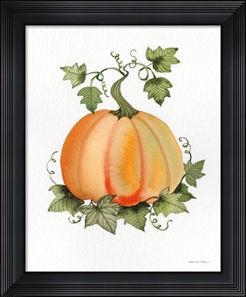 Framed Pumpkin and Vines II Print