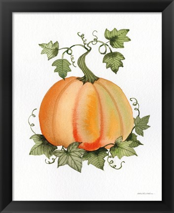 Framed Pumpkin and Vines II Print