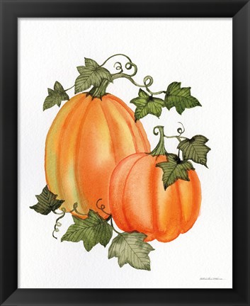 Framed Pumpkin and Vines I Print