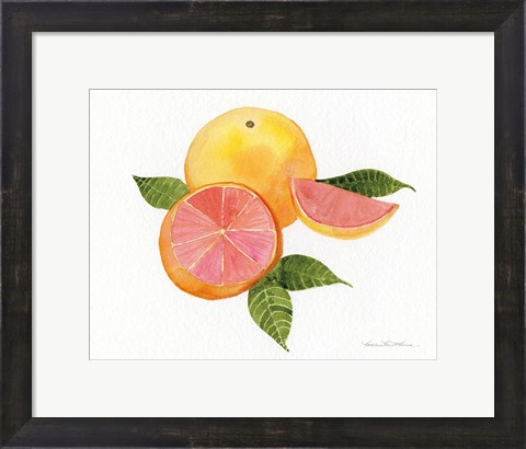 Framed Citrus Garden X Print