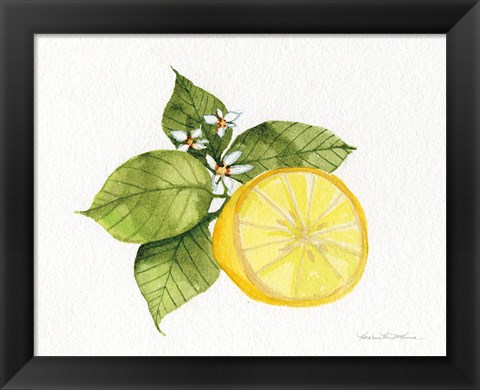 Framed Citrus Garden IX Print