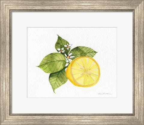 Framed Citrus Garden IX Print