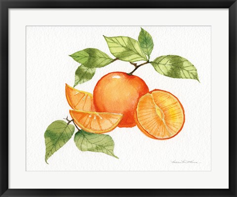 Framed Citrus Garden VIII Print
