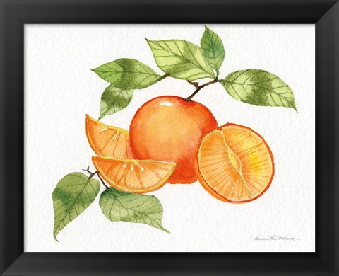 Framed Citrus Garden VIII Print