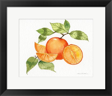 Framed Citrus Garden VIII Print