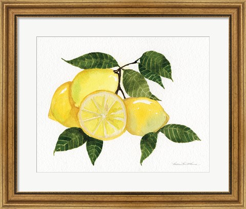Framed Citrus Garden VI Print