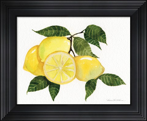 Framed Citrus Garden VI Print