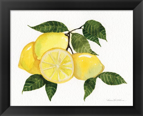 Framed Citrus Garden VI Print