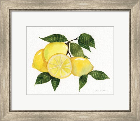 Framed Citrus Garden VI Print