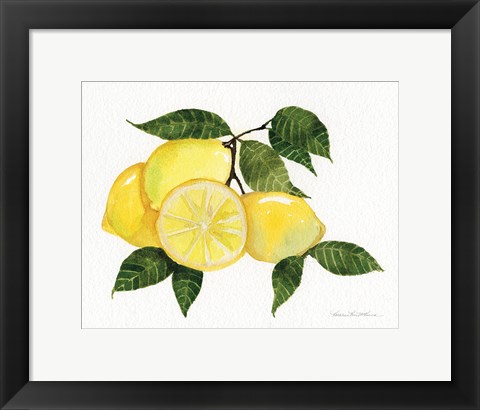 Framed Citrus Garden VI Print