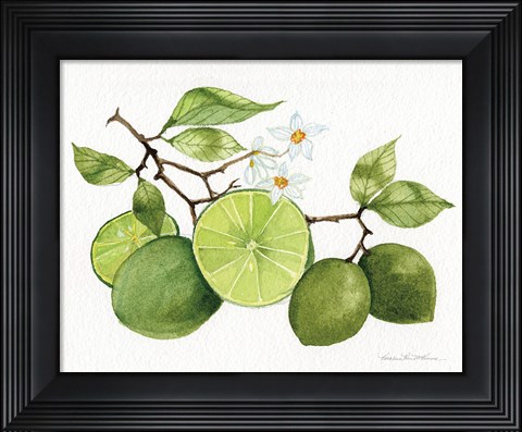 Framed Citrus Garden VII Print