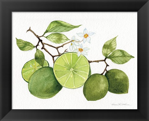 Framed Citrus Garden VII Print